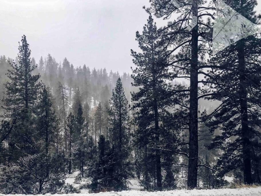 Cozy Cabin Rental In Pine Mountain Club California Frazier Park Exterior photo